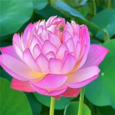 2023年适合做头像的图片(精选18张)