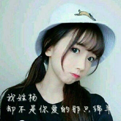 姓氏杨头像大全女生头像(精选18张)