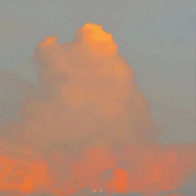 一看就舒心的微信头像(共16张)