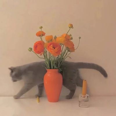 一看就舒心的微信头像(共16张)