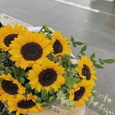 超有意境唯美微信头像(18张)