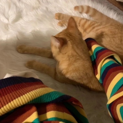 超有意境唯美微信头像(18张)