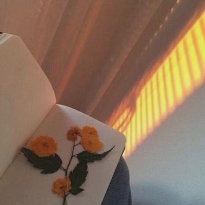 超有意境唯美微信头像(18张)