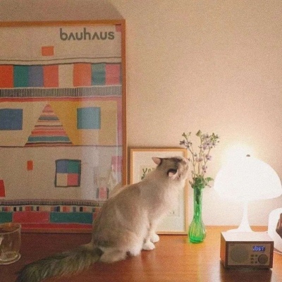 超有意境唯美微信头像(18张)