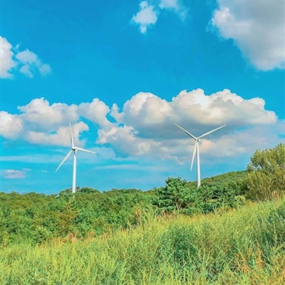 有意境的微信头像高清图片(优选18张)