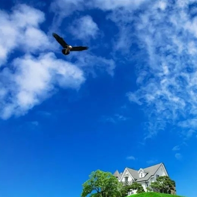 有意境的微信头像高清图片(优选18张)