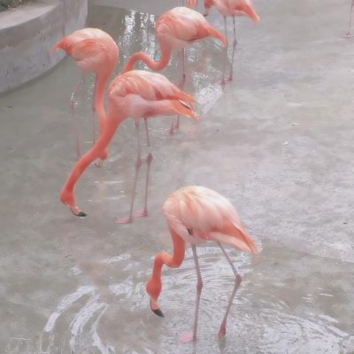 好运气的风景微信头像(共22张)