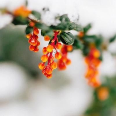 好运气的风景微信头像(共22张)