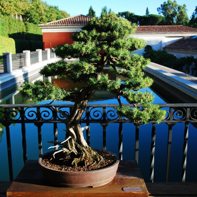 好运气的风景微信头像(共22张)