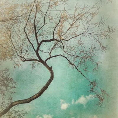 好看小众的微信头像(20张)