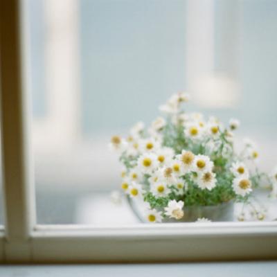 唯美风景头像图片大全(24张)