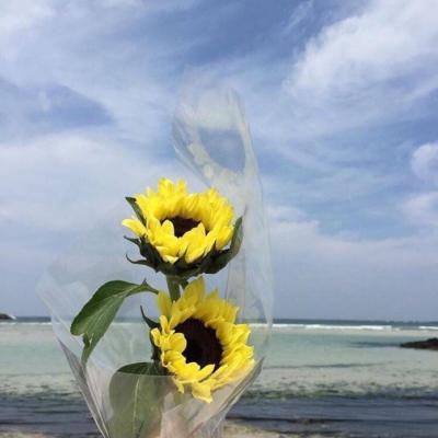 唯美风景头像图片大全(24张)