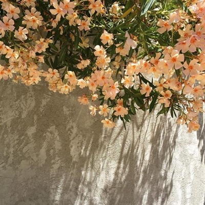 优美微信风景头像图片(共26张)