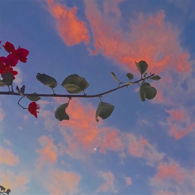 优美微信风景头像图片(共26张)