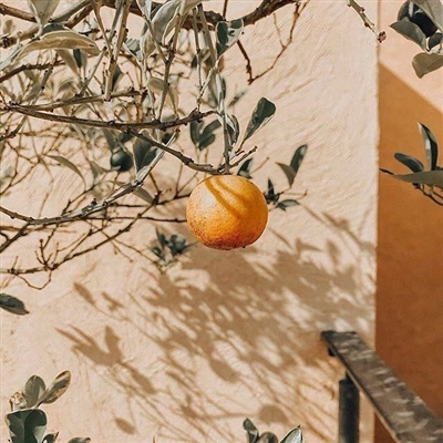 优美微信风景头像图片(共26张)