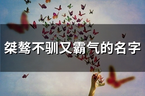 桀骜不驯又霸气的名字(共80个) 桀骜不驯又霸气的名字(共80个)
