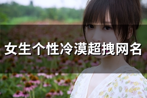 女生个性冷漠超拽网名(共115个) 女生个性冷漠超拽网名(共115个)