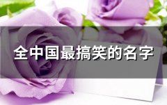 全中国最搞笑的名字(共117个)