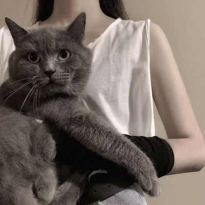 高清好看的头像女生霸气冷艳图片大全(优选22张)