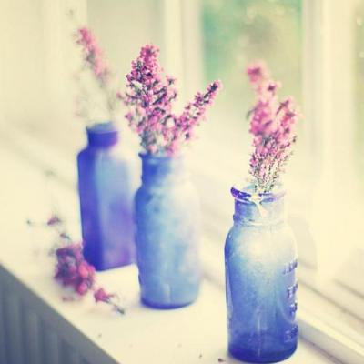 阳光温暖美好的头像(16张)