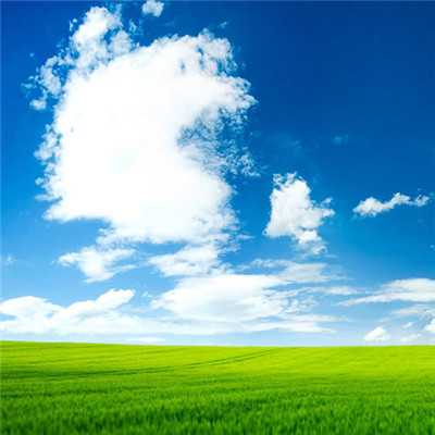 阳光温暖美好的头像(16张)