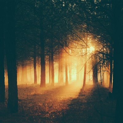 阳光温暖美好的头像(16张)