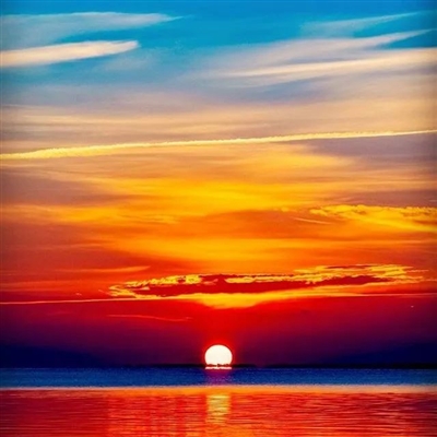 阳光温暖美好的头像(16张)