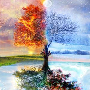 高端有品位的微信头像(优选22张)