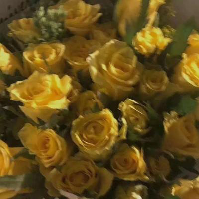 微信头像花朵图片大全(精选20张)