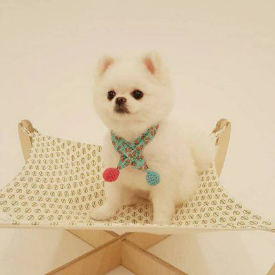 一狗一女左右情侣头像(精选18张)