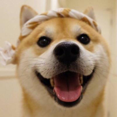 一狗一女左右情侣头像(精选18张)