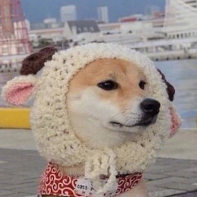 一狗一女左右情侣头像(精选18张)