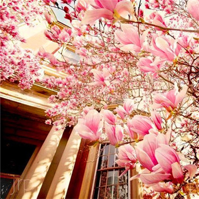 微信头像2023最新风景图片(优选38张)