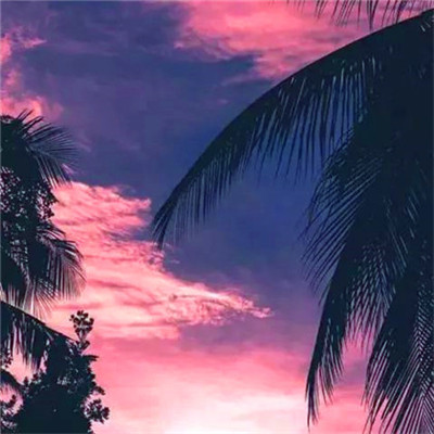 微信头像2023最新风景图片(优选38张)