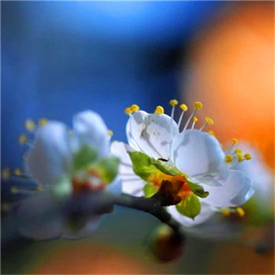 微信头像2023最新风景图片(优选38张)