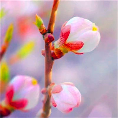 微信头像2023最新风景图片(优选38张)