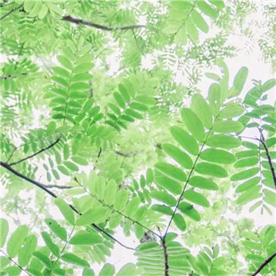 微信头像2023最新风景图片(优选38张)