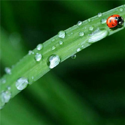 微信头像2023最新风景图片(优选38张)