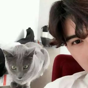 男生抱着动物的情头(精选18张)