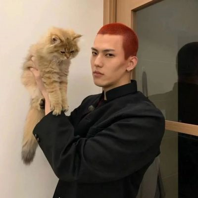 男生抱着动物的情头(精选18张)