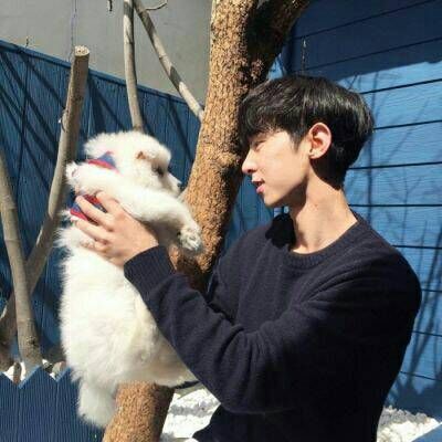 抱小动物的男生头像(精选16张)