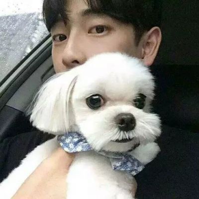 帅气男生抱可爱小动物头像精选图片(精选36张)