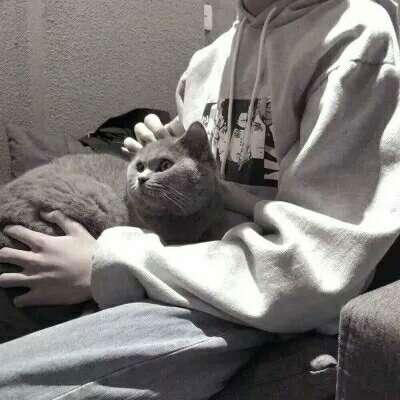 帅气男生抱可爱小动物头像精选图片(精选36张)