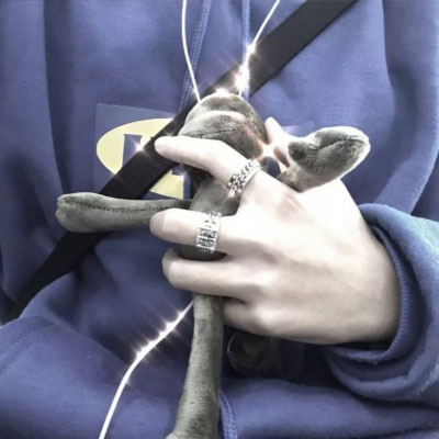 帅气男生抱可爱小动物头像精选图片(精选36张)