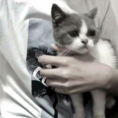 帅气男生抱可爱小动物头像精选图片(精选36张)