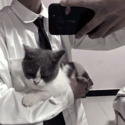 帅气男生抱可爱小动物头像精选图片(精选36张)