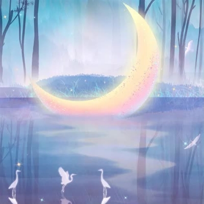 简单干净的图片唯美头像(20张)