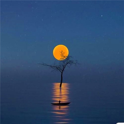 简单干净的图片唯美头像(20张)