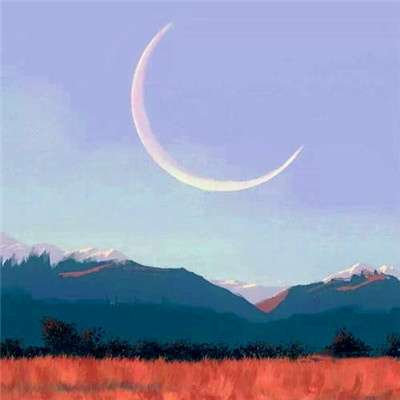 简单干净的图片唯美头像(20张)