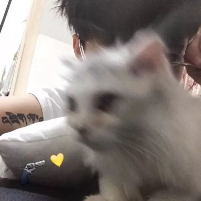 带渣男字的头像图片(优选16张)